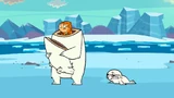 BabySeal002