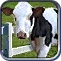 Animal Husbandry (Civ4)