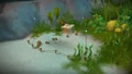 Budd's Dig.jpg