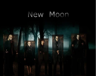 New moon 008