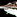 IconSmall Hammerhead