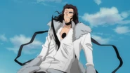 Shunsui Stabs Starrk