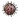 SporeLarge
