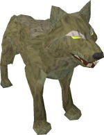 Jungle Wolf