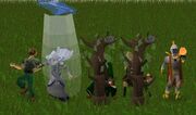 Questing clan