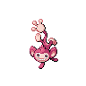 Aipom E variocolor