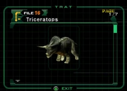Triceratops