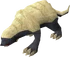 Honey badger