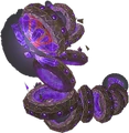 Gyreworm.png