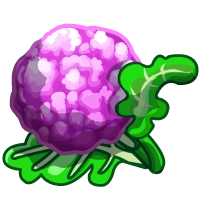 Purple Cauliflower-icon