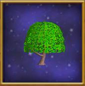 Summertree