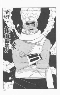 Chapter 491
