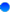 Bluecoin