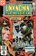 Unknown Soldier Vol 1 252