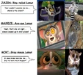 Compare.jpg