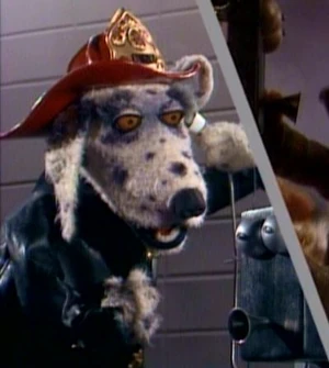 Spot-dogcity.jpg