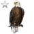Item baldeaglesilver 02.png
