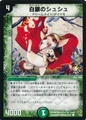 Dm-p1-y5