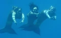 ECRUnderwater