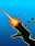 Power Icon Two-gun Mojo.png