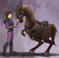 Kybuck-TCWCG.jpg