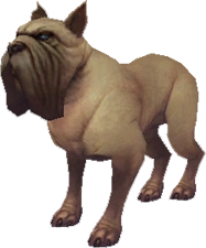 Mastiff