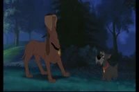 Ladyandthetramp2 393