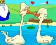 OldSwans