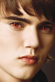 4x6-alec-volturi