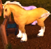 Image of Arion