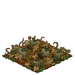 Green Pumpkins withered