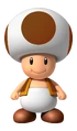 BrownToadFront