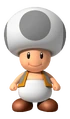 GrayToadFront