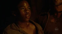 2x22 ACaptiveWalt