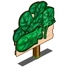 Spinach