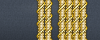 sleeve insignia.