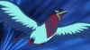 Ash Swellow