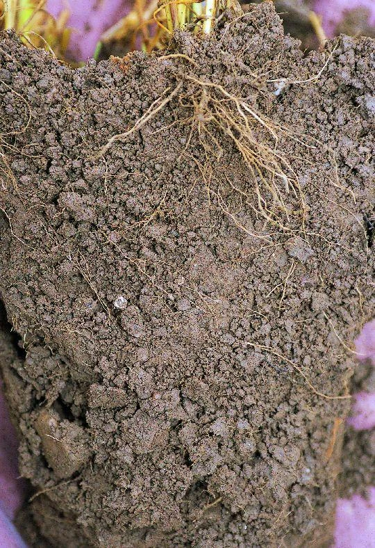 dating femme marignane