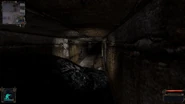 Dead City Tunnels