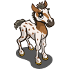 Palouse Foal-icon.png