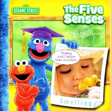 Fivesenses