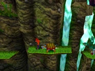 Turtle woods bonus