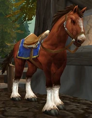 Chestnut Mare.jpg