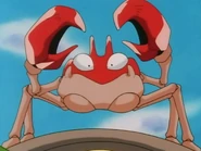 Ash Krabby