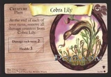 CobraLily