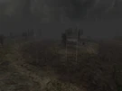 Yantar Shit