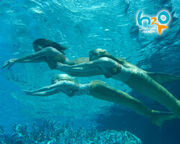 H2o wp mermaids
