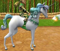 Dream Filly