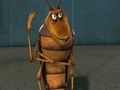 02-roach01.jpg