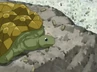 Kamekichi-tortoise mug